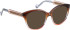 Entourage Of 7 WENDY sunglasses in Brown/Red