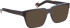 Entourage Of 7 WAYLEN sunglasses in Brown/Brown