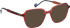Entourage Of 7 HAZEL sunglasses in Red/Orange
