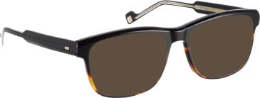 Entourage Of 7 GAVIN sunglasses in Black/Brown