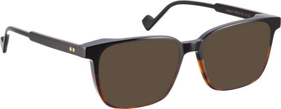 Entourage Of 7 CASSIUS sunglasses in Black/Brown