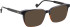 Entourage Of 7 CASSIUS sunglasses in Black/Brown