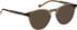 Entourage Of 7 ARLO sunglasses in Green/Green