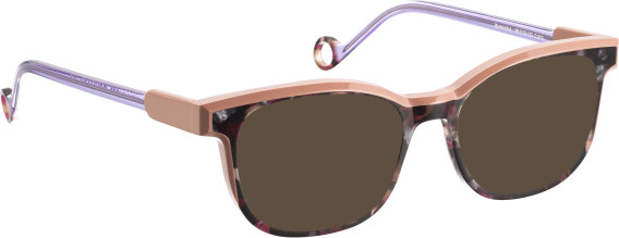Bellinger SURROUND-4 sunglasses in Purple/Purple
