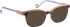 Bellinger SURROUND-4 sunglasses in Purple/Purple