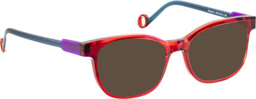 Bellinger SURROUND-4 sunglasses in Red/Purple