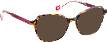 Bellinger PYRAMID-2 sunglasses in Brown/Red