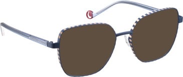 Bellinger BOLDLINE-SP11 sunglasses in Blue/Rose Gold