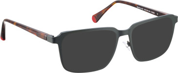 Bellinger BOLDLINE-A21 sunglasses in Green/Tortoise