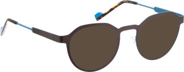 Bellinger BLAZE sunglasses in Brown/Blue