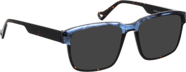 Bellinger ARMSTRONG sunglasses in Blue/Brown
