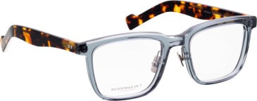 Entourage Of 7 ATTICUS glasses in Blue/Blue