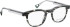 Bellinger DAGGER glasses in Green/Green