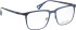 Bellinger CORNER-2 glasses in Blue/Grey