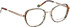 Bellinger CICULA-2 glasses in Rose Gold/Green