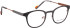 Bellinger BLAZE-2 glasses in Black/Orange