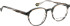 Bellinger BLACKBURN glasses in Grey/Green