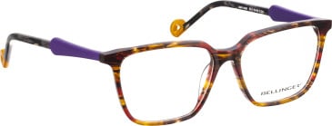 Bellinger JUST-LAUGH glasses in Brown/Orange