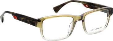 Bellinger HORNET glasses in Clear Green/Grey