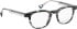 Bellinger DAGGER glasses in Green/Green