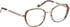 Bellinger CICULA-2 glasses in Rose Gold/Green