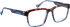 Bellinger ARMSTRONG glasses in Brown/Blue