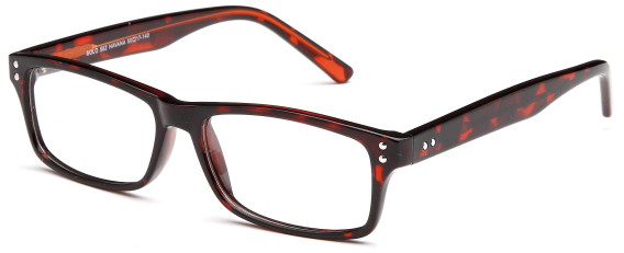 SFE glasses in Havana