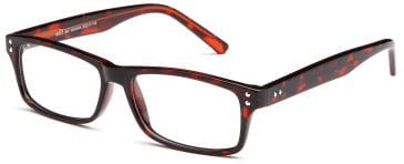 SFE glasses in Havana