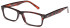 SFE glasses in Havana