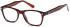 SFE glasses in Havana