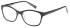 SFE glasses in Brown