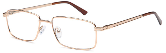 SFE glasses in Gold