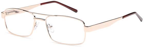 SFE glasses in Gold