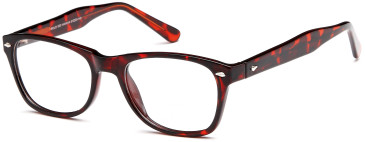 SFE Plastic Ready-Made Reading Glasses