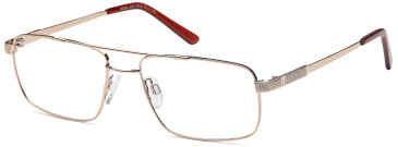 SFE-9559 glasses in Gold 