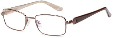 SFE-9562 glasses in Brown 