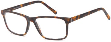 SFE-10345 glasses in Havana