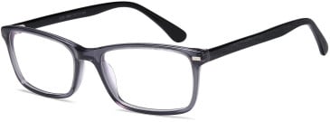 SFE-10392 glasses in Grey