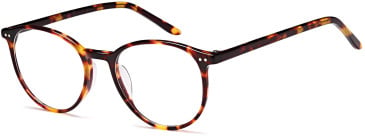 SFE-10399 glasses in Havana