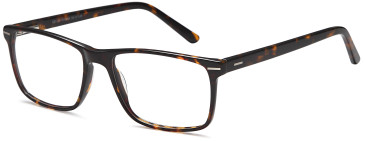 SFE-10419 glasses in Havana