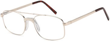 SFE-10456 glasses in Gold