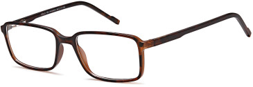SFE-10468 glasses in Havana