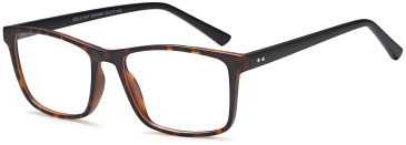 SFE-10470 glasses in Havana