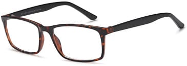 SFE-10472 glasses in Havana