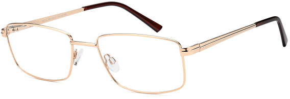 SFE-10455 glasses in Gold