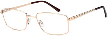 SFE-10455 glasses in Gold