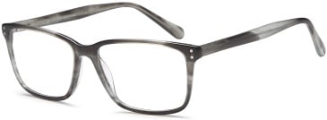 SFE-10420 glasses in Grey