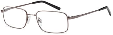 SFE-10436 glasses in Grey