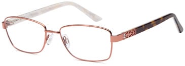 SFE-10440 glasses in Bronze
