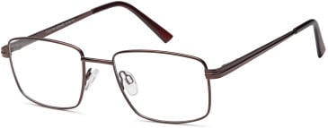 SFE-10448 glasses in Bronze